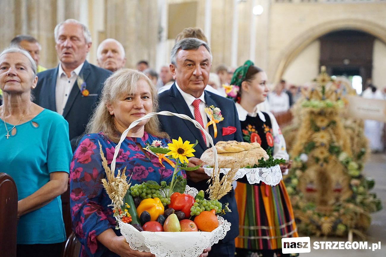 Rolnicy, sadownicy i grodnicy z gminy Strzegom podziękowali za udane plony [FOTO] 